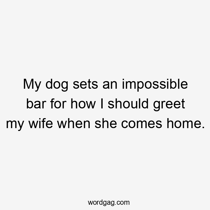 My dog sets an impossible bar for how I should greet my wife when she comes home.