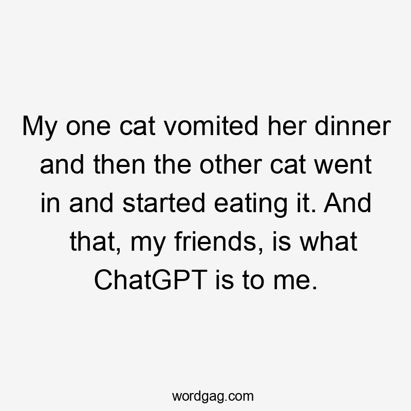 My one cat vomited her dinner and then the other cat went in and started eating it. And that, my friends, is what ChatGPT is to me.