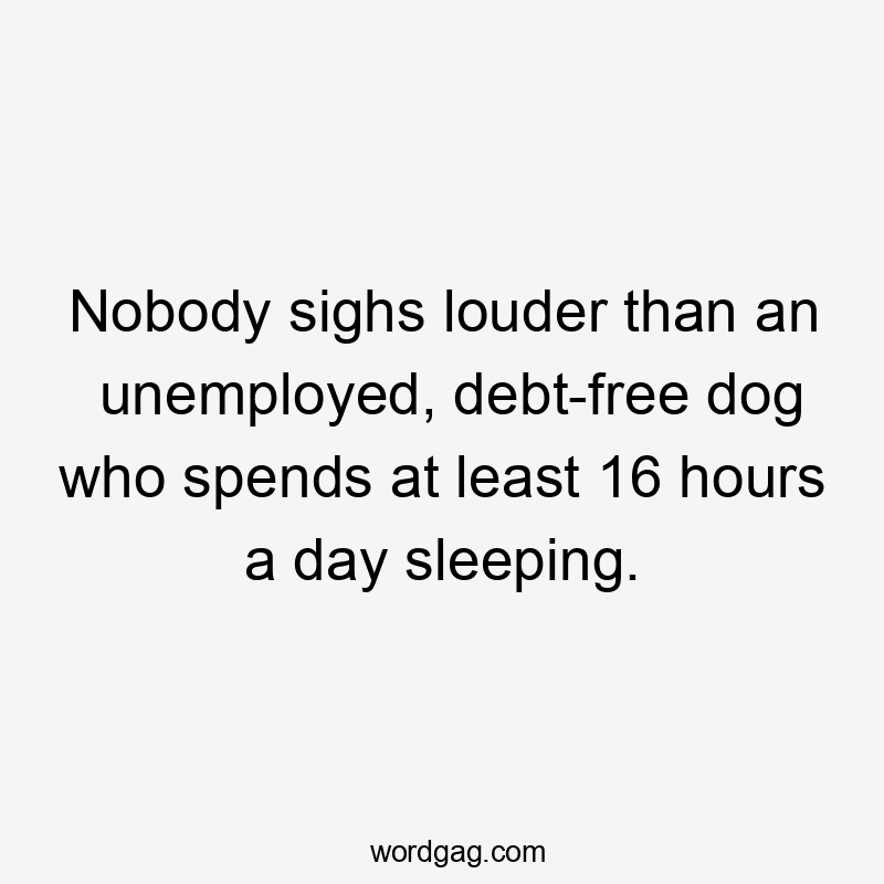 Nobody sighs louder than an unemployed, debt-free dog who spends at least 16 hours a day sleeping.