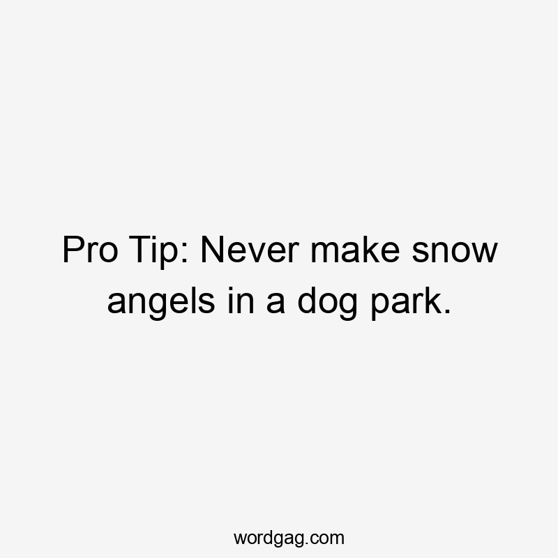 Pro Tip: Never make snow angels in a dog park.