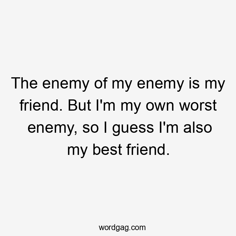 The enemy of my enemy is my friend. But I'm my own worst enemy, so I guess I'm also my best friend.