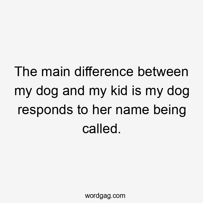 The main difference between my dog and my kid is my dog responds to her name being called.