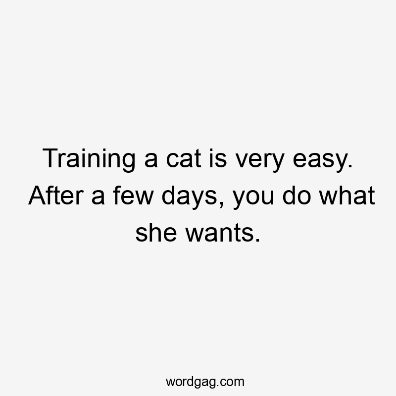 Training a cat is very easy. After a few days, you do what she wants.