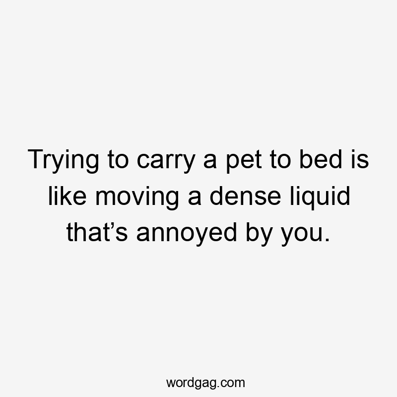 Trying to carry a pet to bed is like moving a dense liquid that’s annoyed by you.