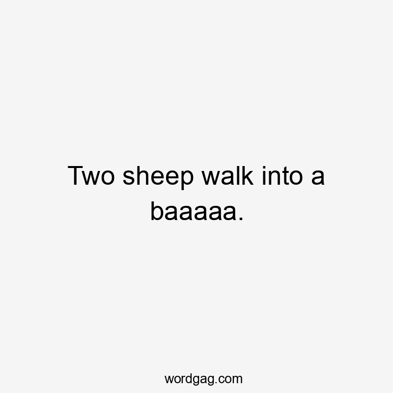 Two sheep walk into a baaaaa.