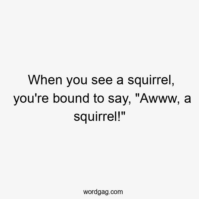 When you see a squirrel, you're bound to say, "Awww, a squirrel!"