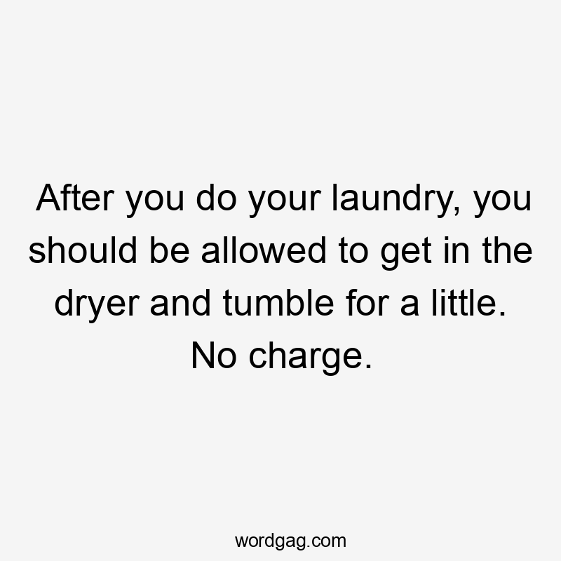 After you do your laundry, you should be allowed to get in the dryer and tumble for a little. No charge.