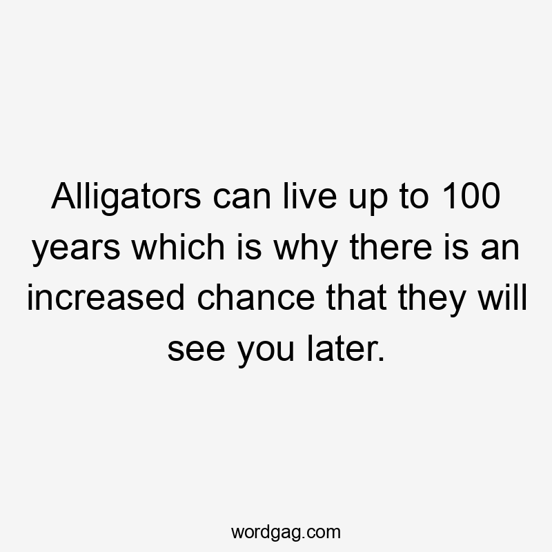 Alligators can live up to 100 years which is why there is an increased chance that they will see you later.