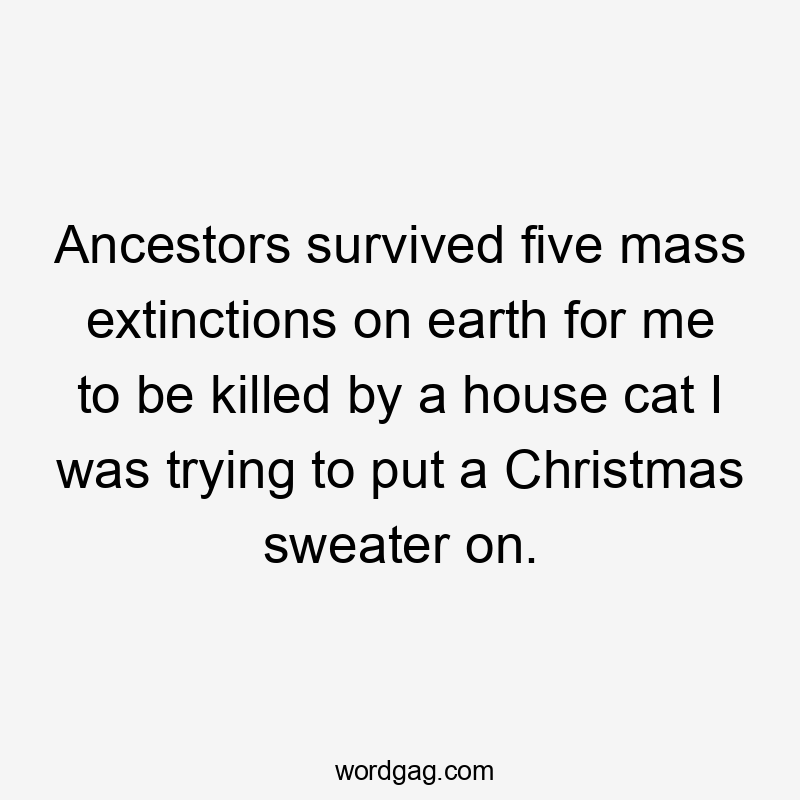 Ancestors survived five mass extinctions on earth for me to be killed by a house cat I was trying to put a Christmas sweater on.