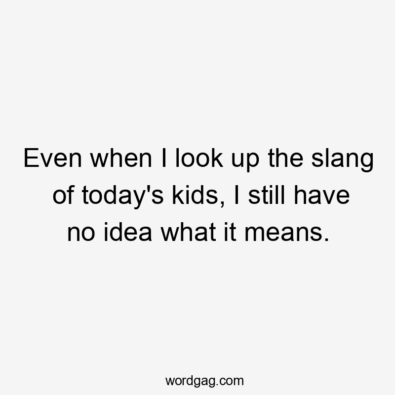 Even when I look up the slang of today's kids, I still have no idea what it means.