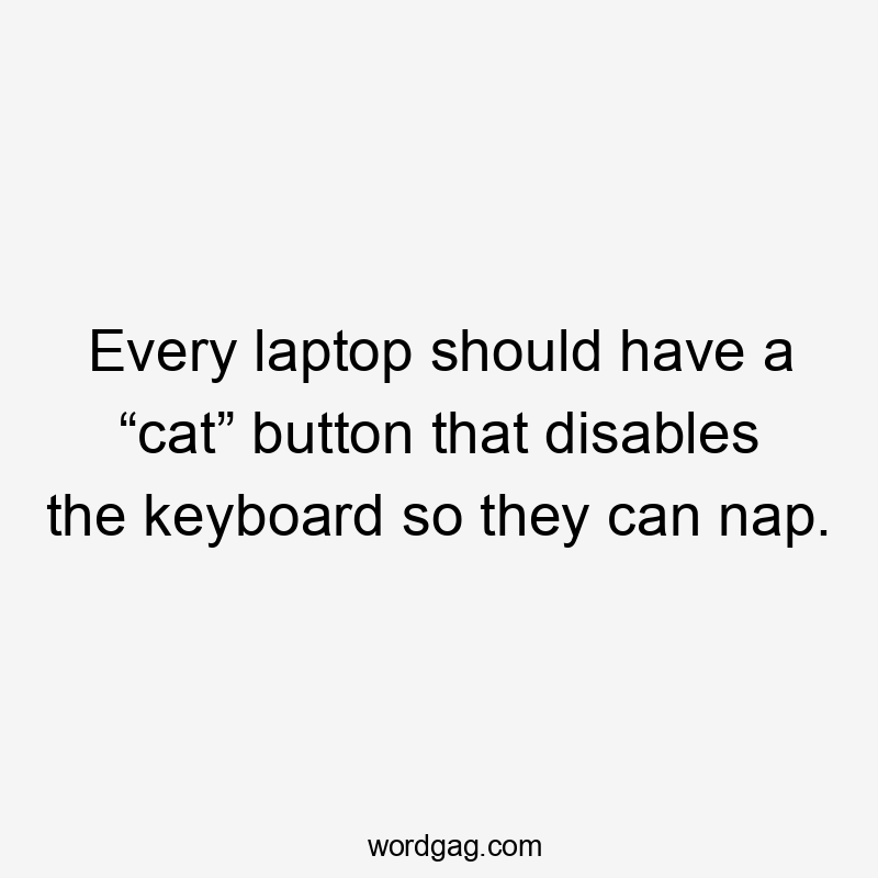 Every laptop should have a “cat” button that disables the keyboard so they can nap.