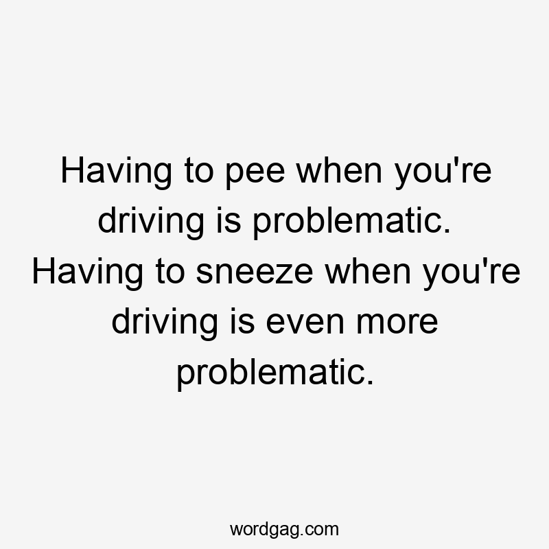 Having to pee when you're driving is problematic. Having to sneeze when you're driving is even more problematic.