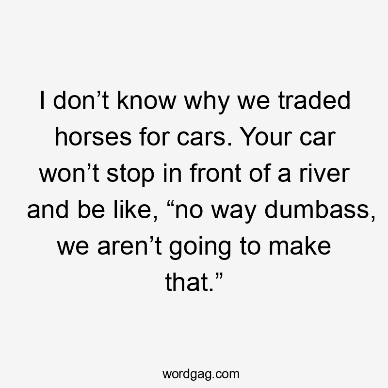 I don’t know why we traded horses for cars. Your car won’t stop in front of a river and be like, “no way dumbass, we aren’t going to make that.”