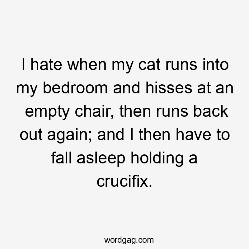 I hate when my cat runs into my bedroom and hisses at an empty chair, then runs back out again; and I then have to fall asleep holding a crucifix.