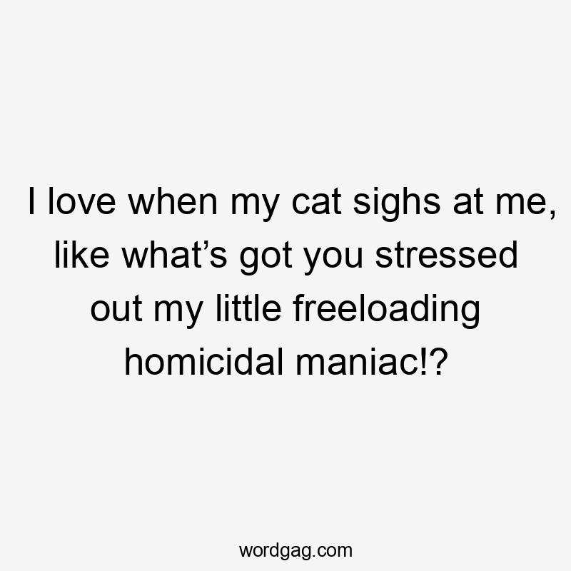 I love when my cat sighs at me, like what’s got you stressed out my little freeloading homicidal maniac!?