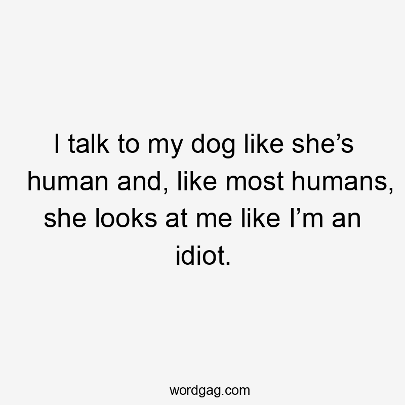 I talk to my dog like she’s human and, like most humans, she looks at me like I’m an idiot.