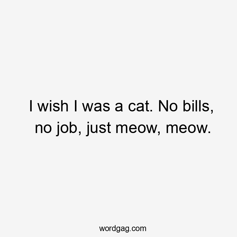 I wish I was a cat. No bills, no job, just meow, meow.