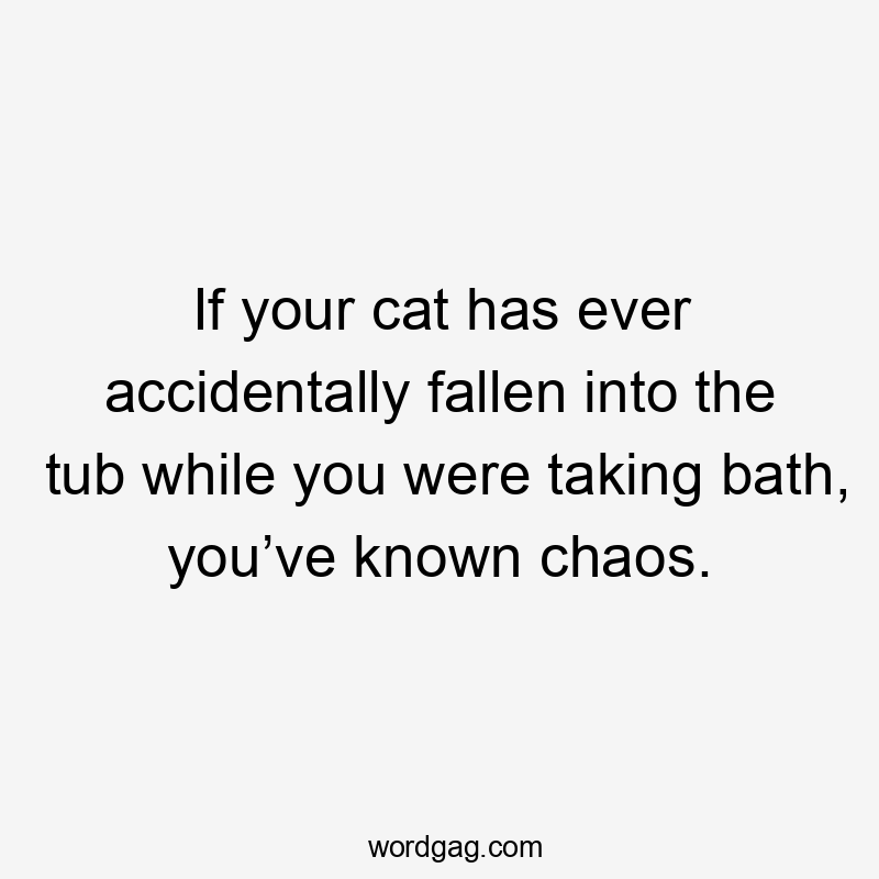 If your cat has ever accidentally fallen into the tub while you were taking bath, you’ve known chaos.