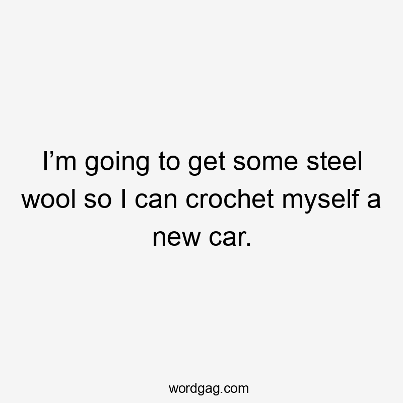 I’m going to get some steel wool so I can crochet myself a new car.