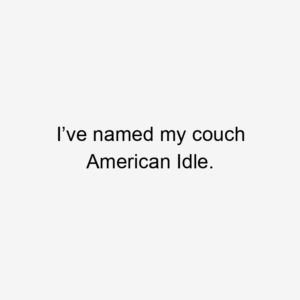 I’ve named my couch American Idle.