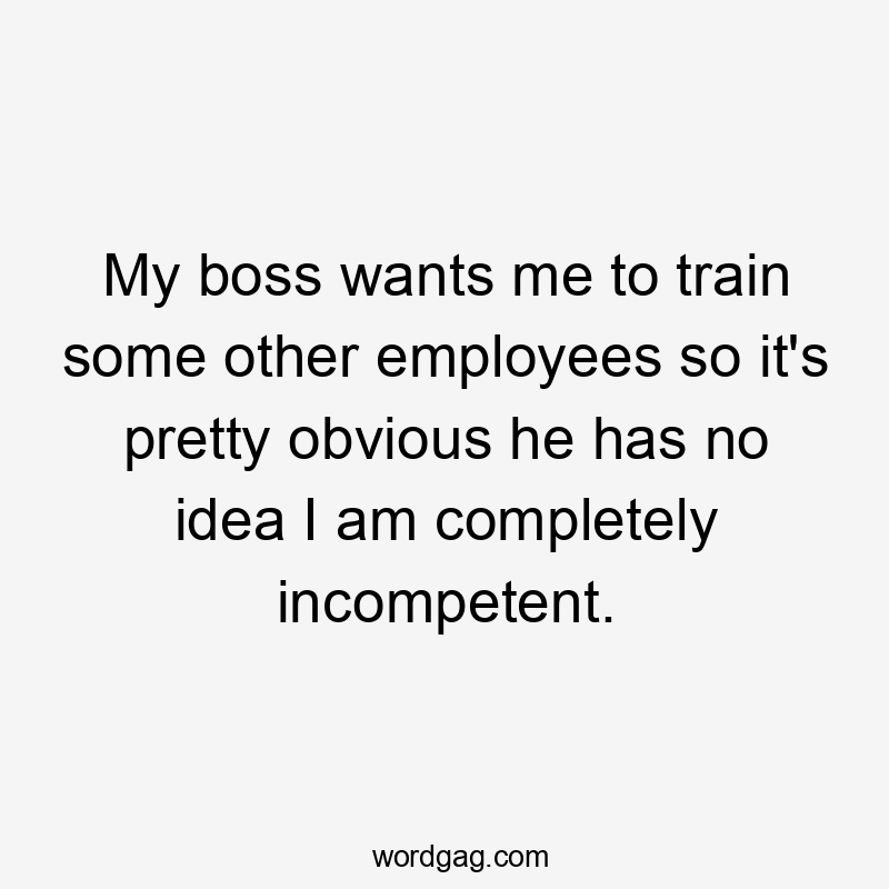 My boss wants me to train some other employees so it's pretty obvious he has no idea I am completely incompetent.