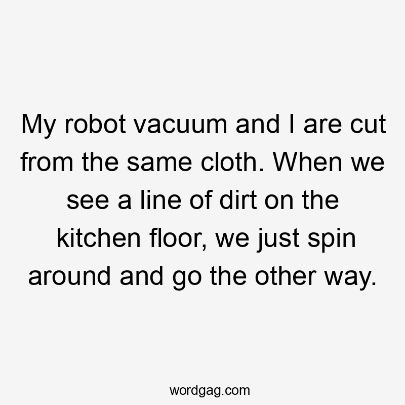 My robot vacuum and I are cut from the same cloth. When we see a line of dirt on the kitchen floor, we just spin around and go the other way.