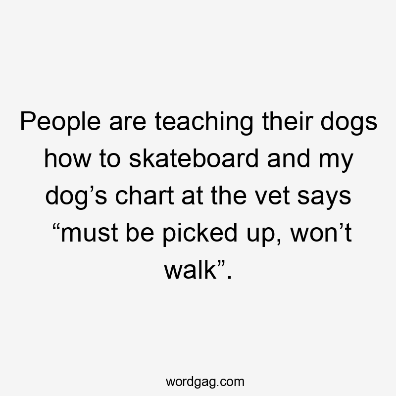 People are teaching their dogs how to skateboard and my dog’s chart at the vet says “must be picked up, won’t walk”.