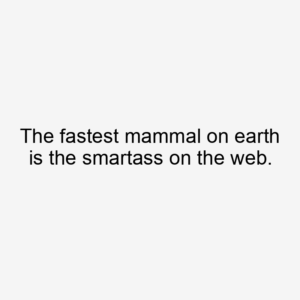 The fastest mammal on earth is the smartass on the web.