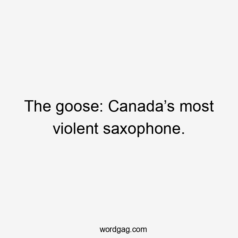 The goose: Canada’s most violent saxophone.