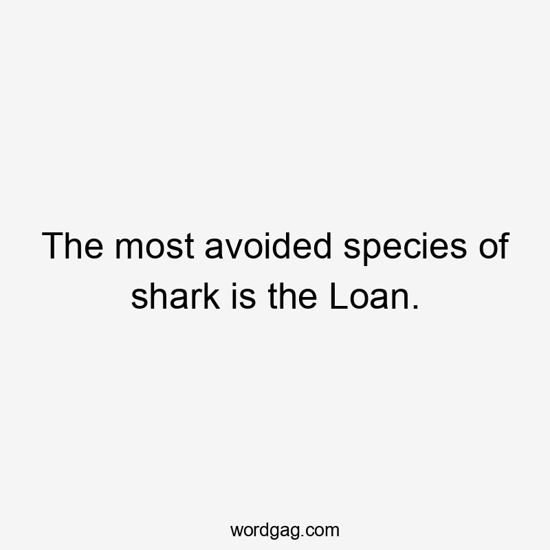 The most avoided species of shark is the Loan.