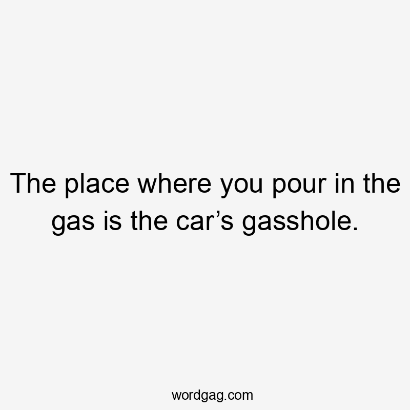 The place where you pour in the gas is the car’s gasshole.