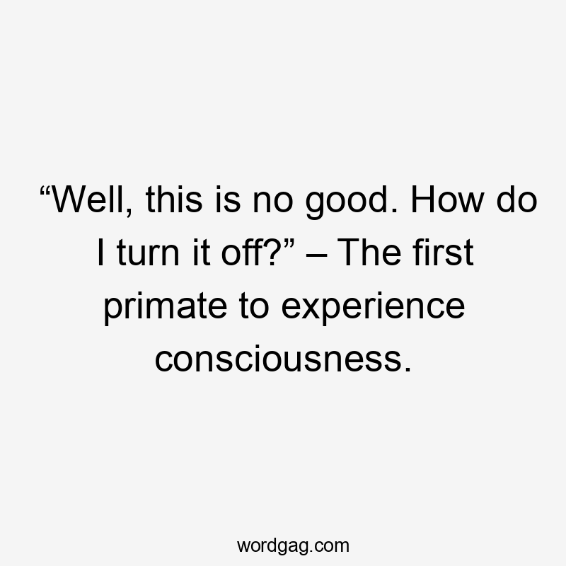 “Well, this is no good. How do I turn it off?” – The first primate to experience consciousness.