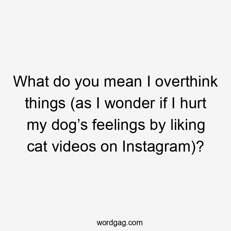 What do you mean I overthink things (as I wonder if I hurt my dog’s feelings by liking cat videos on Instagram)?