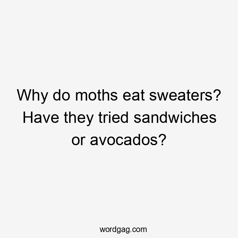 Why do moths eat sweaters? Have they tried sandwiches or avocados?