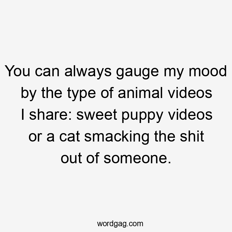 You can always gauge my mood by the type of animal videos I share: sweet puppy videos or a cat smacking the shit out of someone.