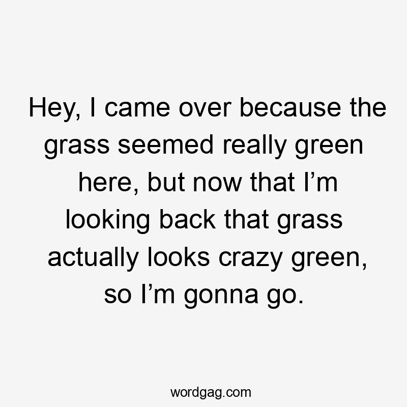 Hey, I came over because the grass seemed really green here, but now that I’m looking back that grass actually looks crazy green, so I’m gonna go.