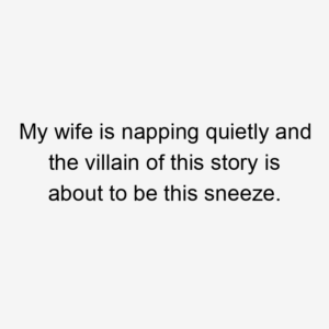 My wife is napping quietly and the villain of this story is about to be this sneeze.