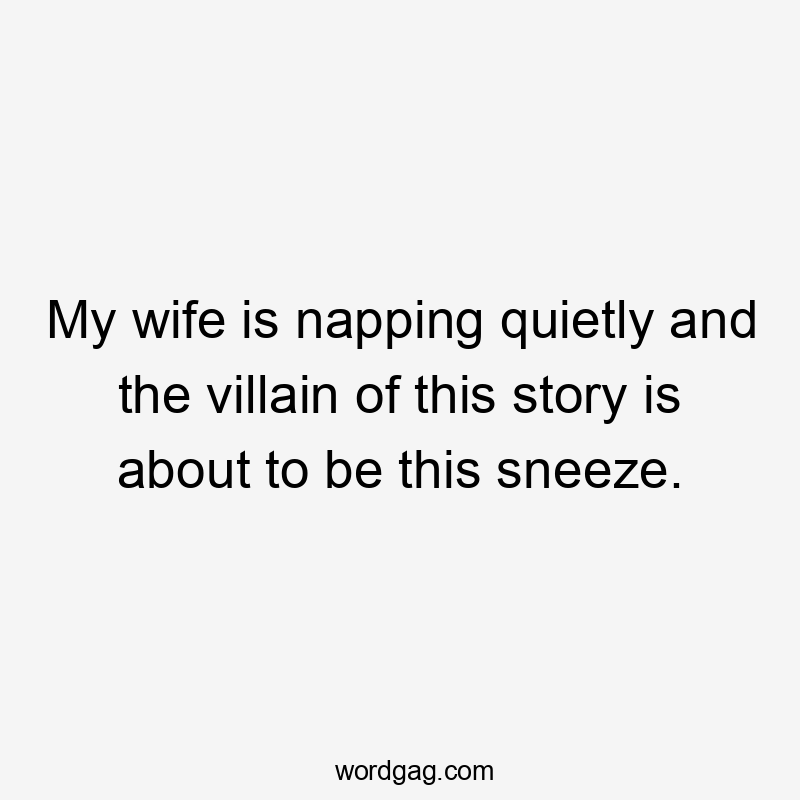 My wife is napping quietly and the villain of this story is about to be this sneeze.