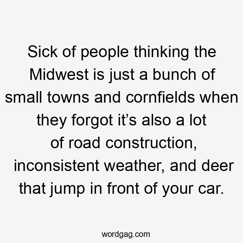 Sick of people thinking the Midwest is just a bunch of small towns and cornfields when they forgot it’s also a lot of road construction, inconsistent weather, and deer that jump in front of your car.