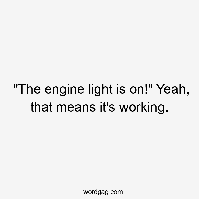 "The engine light is on!" Yeah, that means it's working.