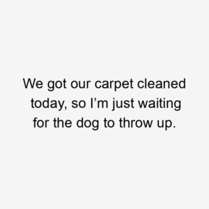 We got our carpet cleaned today, so I’m just waiting for the dog to throw up.