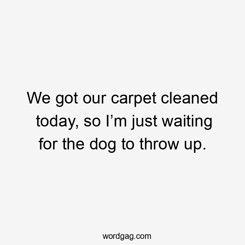 We got our carpet cleaned today, so I’m just waiting for the dog to throw up.