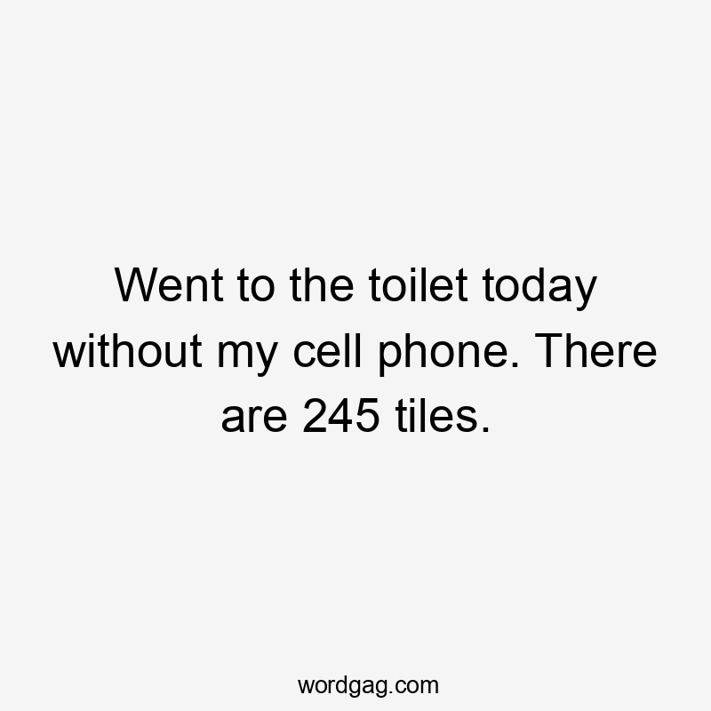 Went to the toilet today without my cell phone. There are 245 tiles.