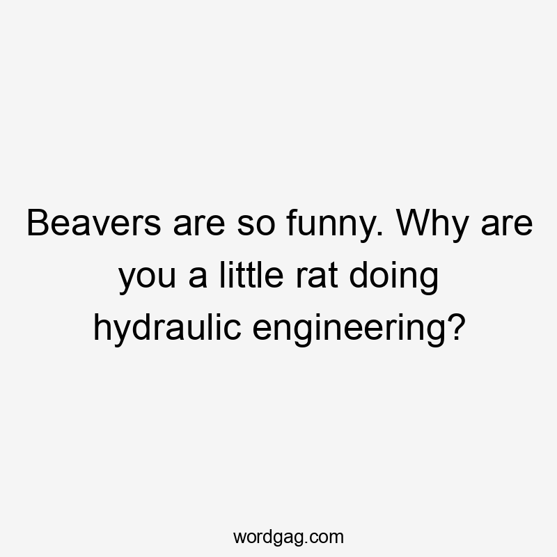 Beavers are so funny. Why are you a little rat doing hydraulic engineering?