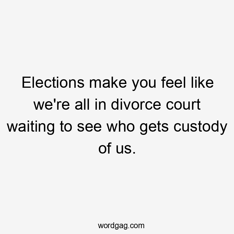 Elections make you feel like we're all in divorce court waiting to see who gets custody of us.