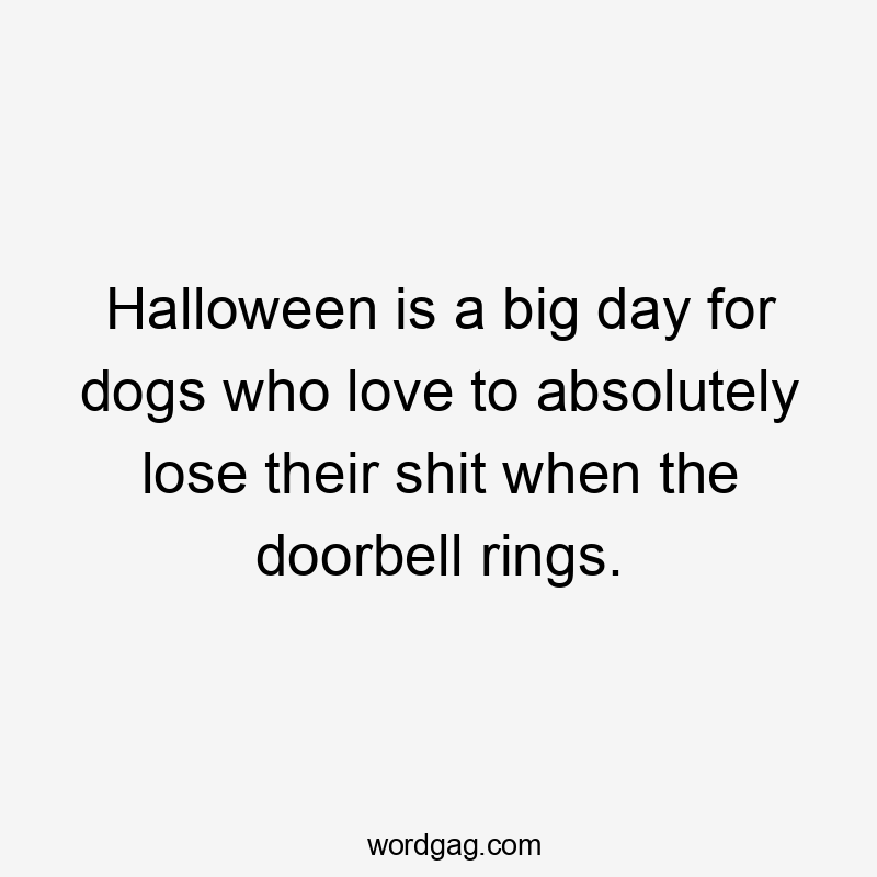 Halloween is a big day for dogs who love to absolutely lose their shit when the doorbell rings.