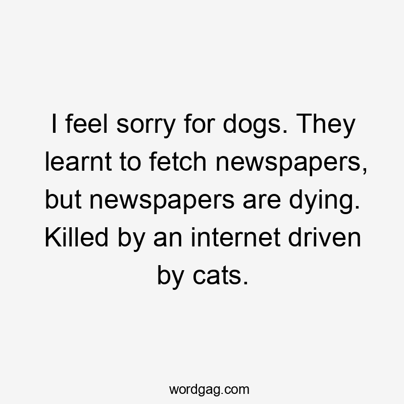 I feel sorry for dogs. They learnt to fetch newspapers, but newspapers are dying. Killed by an internet driven by cats.