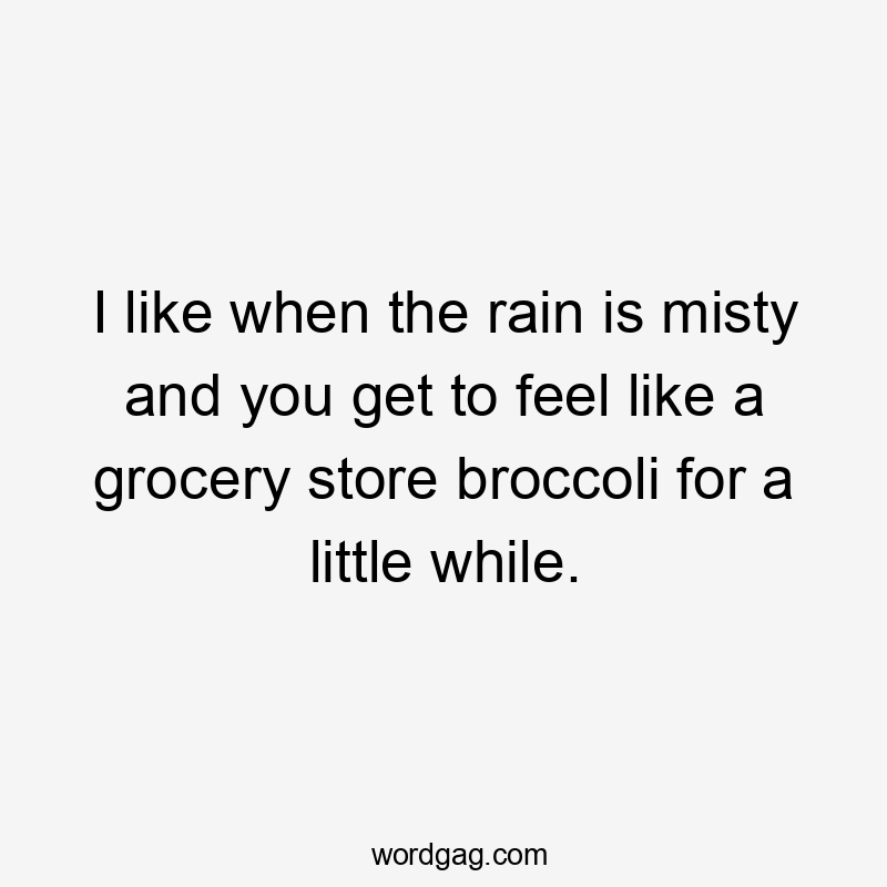 I like when the rain is misty and you get to feel like a grocery store broccoli for a little while.