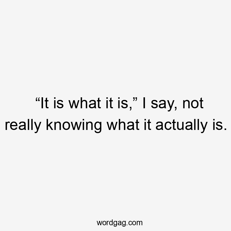 “It is what it is,” I say, not really knowing what it actually is.