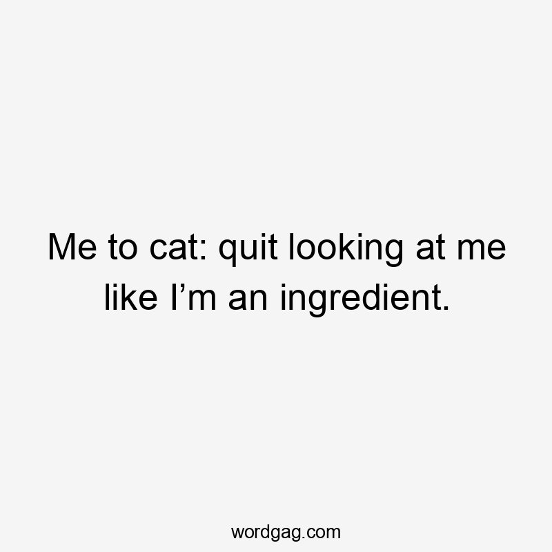 Me to cat: quit looking at me like I’m an ingredient.